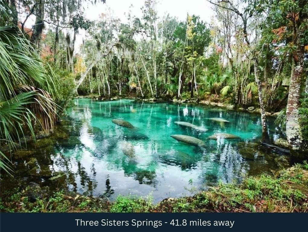 Land at Corner SE 142ND PLACE & S US HWY-301, SUMMERFIELD FL 34491, photo 25 of 40