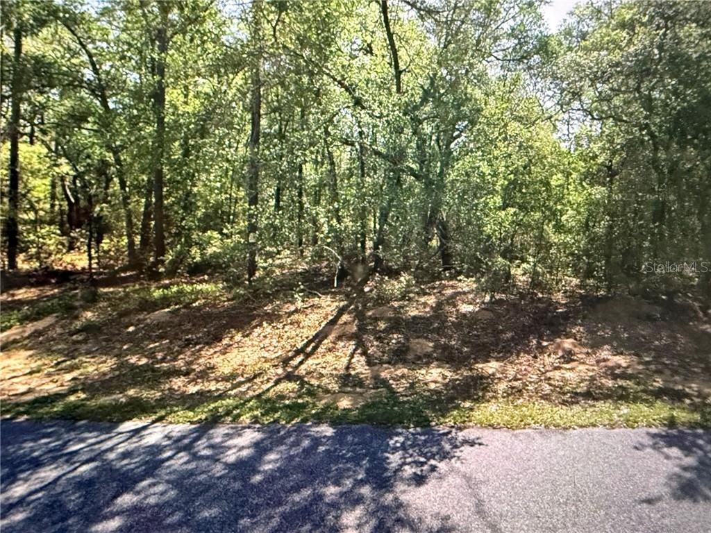 Land at 8265 N Yellowbird AVE, DUNNELLON FL 34434, photo 2 of 7