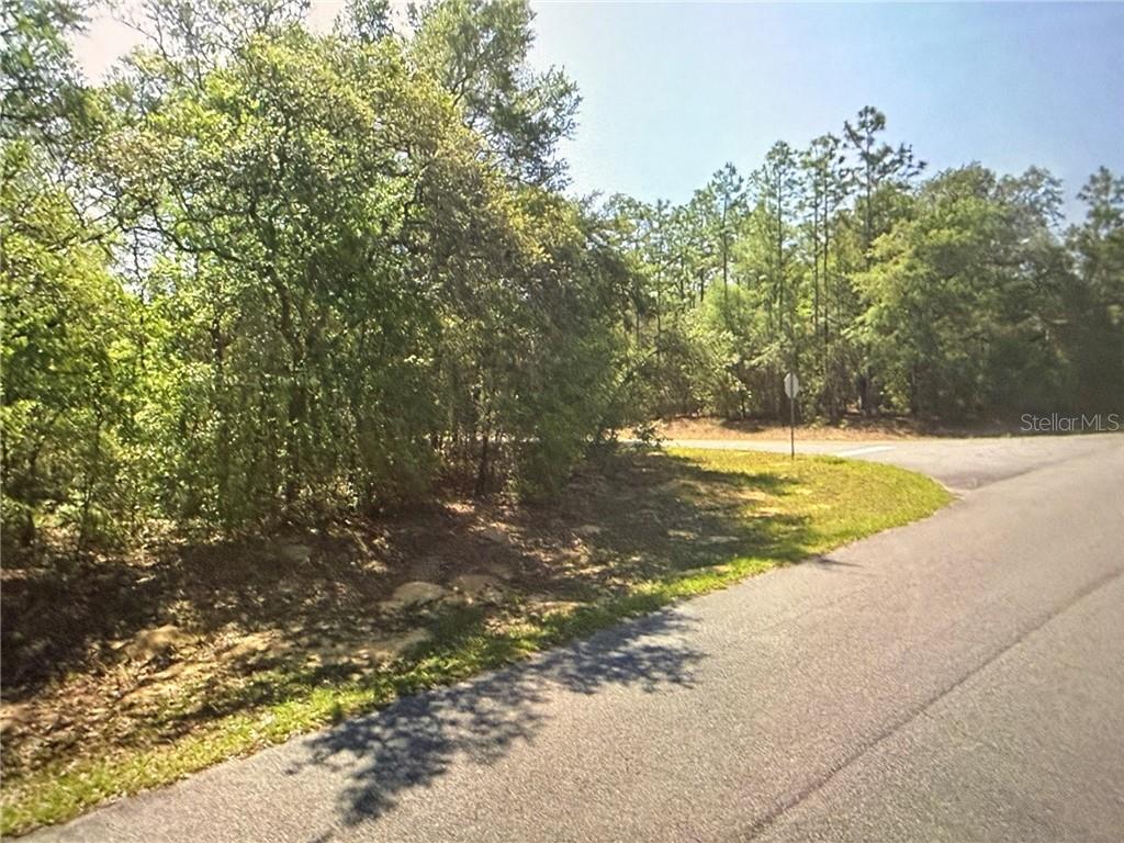 Land at 8265 N Yellowbird AVE, DUNNELLON FL 34434, photo 4 of 7