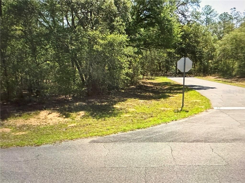 Land at 8265 N Yellowbird AVE, DUNNELLON FL 34434, photo 6 of 7