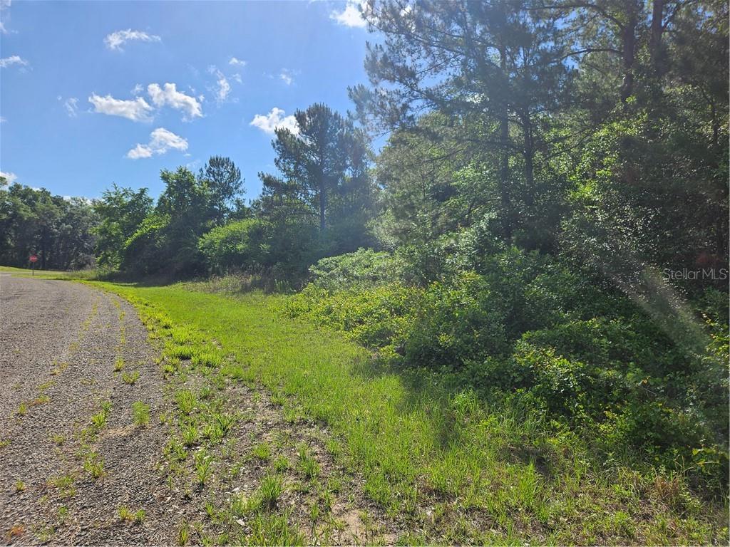 622 E Abady Lane, Citrus Springs FL 34434