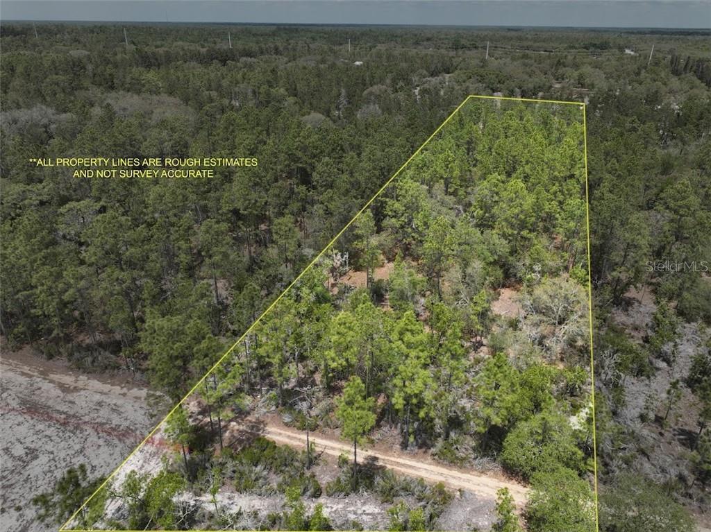 Land at TBD NE 56TH ST, BRONSON FL 32621, photo 2 of 31