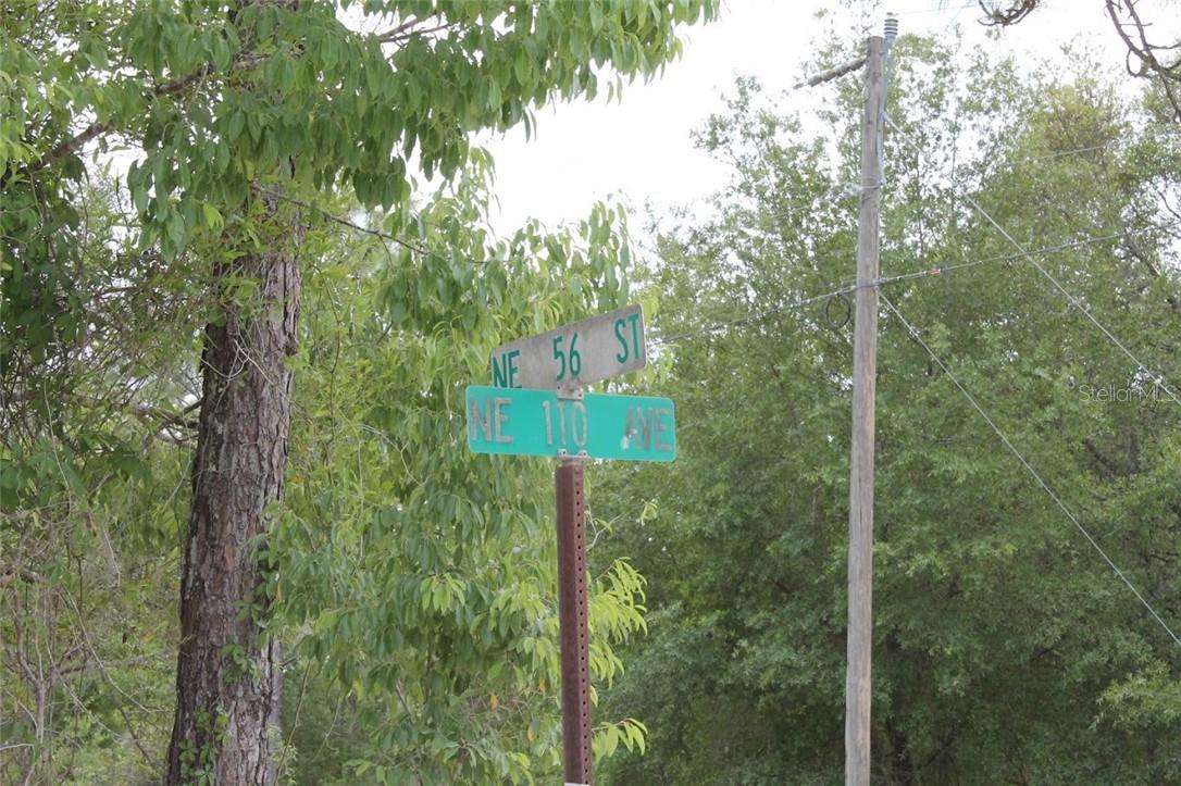 Land at TBD NE 56TH ST, BRONSON FL 32621, photo 6 of 31