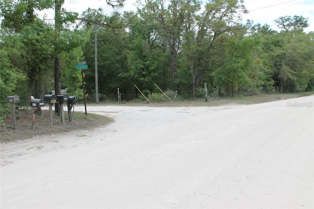 Land at TBD NE 56TH ST, BRONSON FL 32621, photo 10 of 31