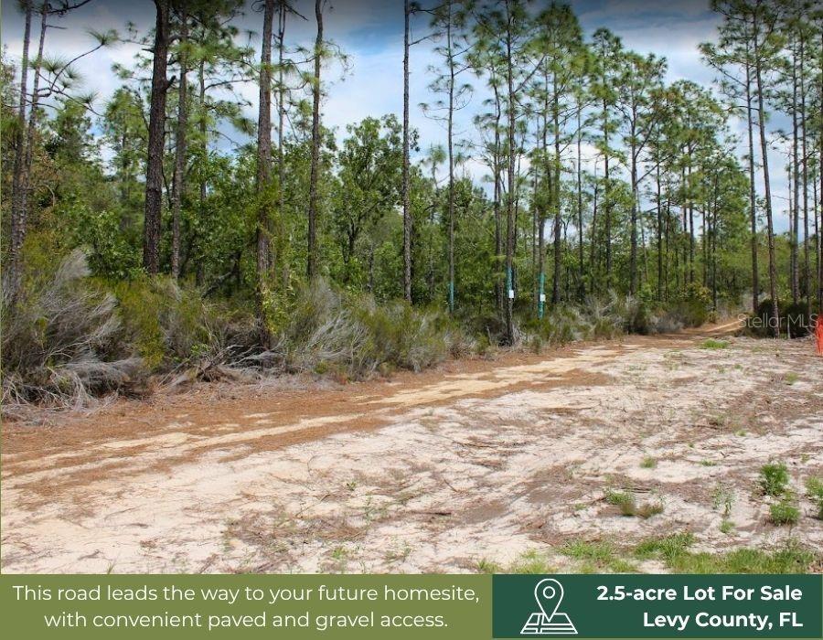 Land at TBD NE 56TH ST, BRONSON FL 32621, photo 17 of 31