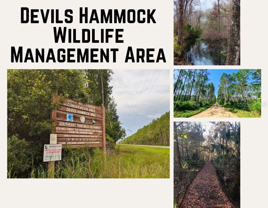 Land at TBD NE 56TH ST, BRONSON FL 32621, photo 18 of 31