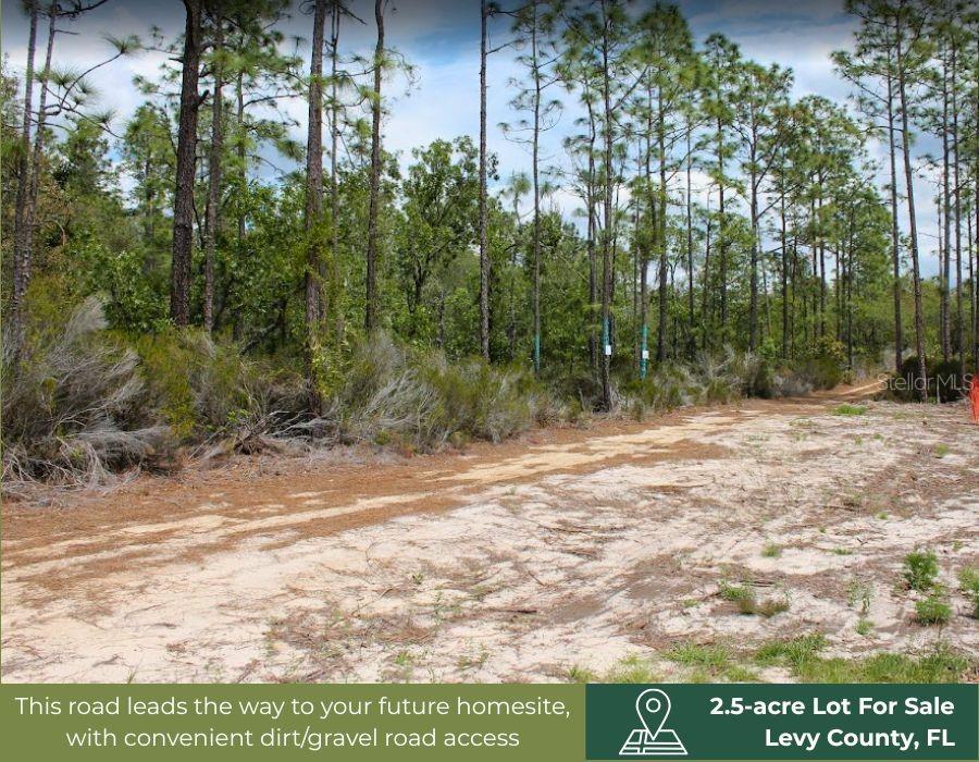 Land at TBD NE 56TH ST, BRONSON FL 32621, photo 25 of 31