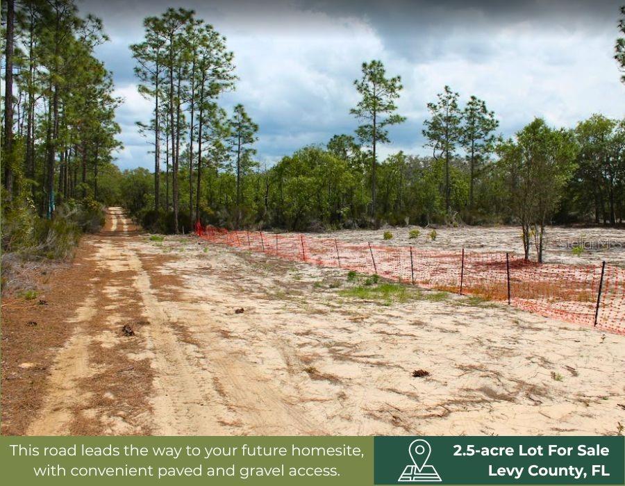 Land at TBD NE 56TH ST, BRONSON FL 32621, photo 28 of 31