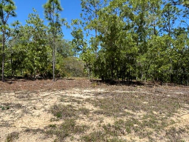 2888 W Lambert DR, DUNNELLON FL 34433