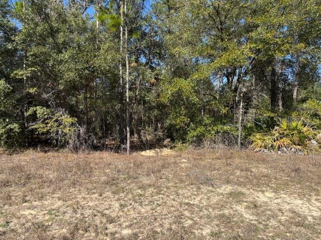 497 W Hummingbird Drive, Citrus Springs FL 34434