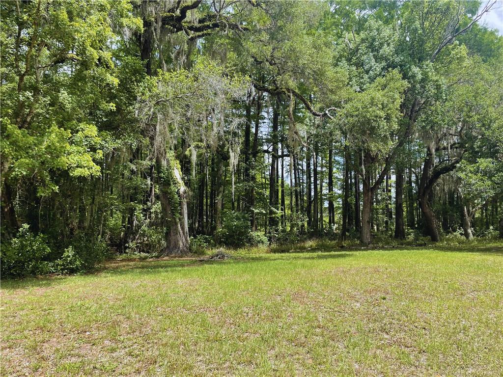 Land at 9381 S Great Oaks DR, FLORALCITY FL 34436, Floral City, photo 3 of 13