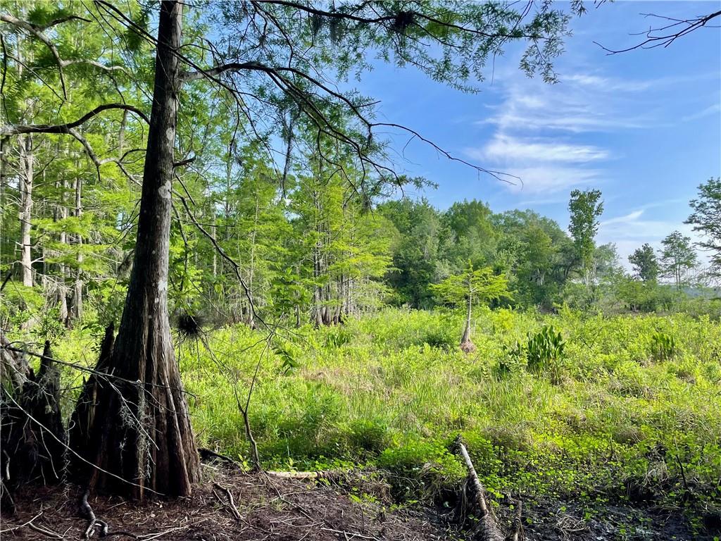 Land at 9381 S Great Oaks DR, FLORALCITY FL 34436, Floral City, photo 6 of 13