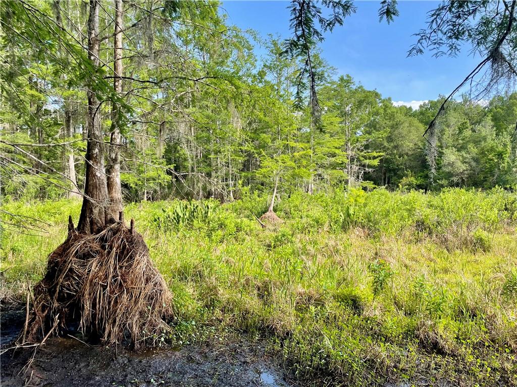 Land at 9381 S Great Oaks DR, FLORALCITY FL 34436, Floral City, photo 7 of 13