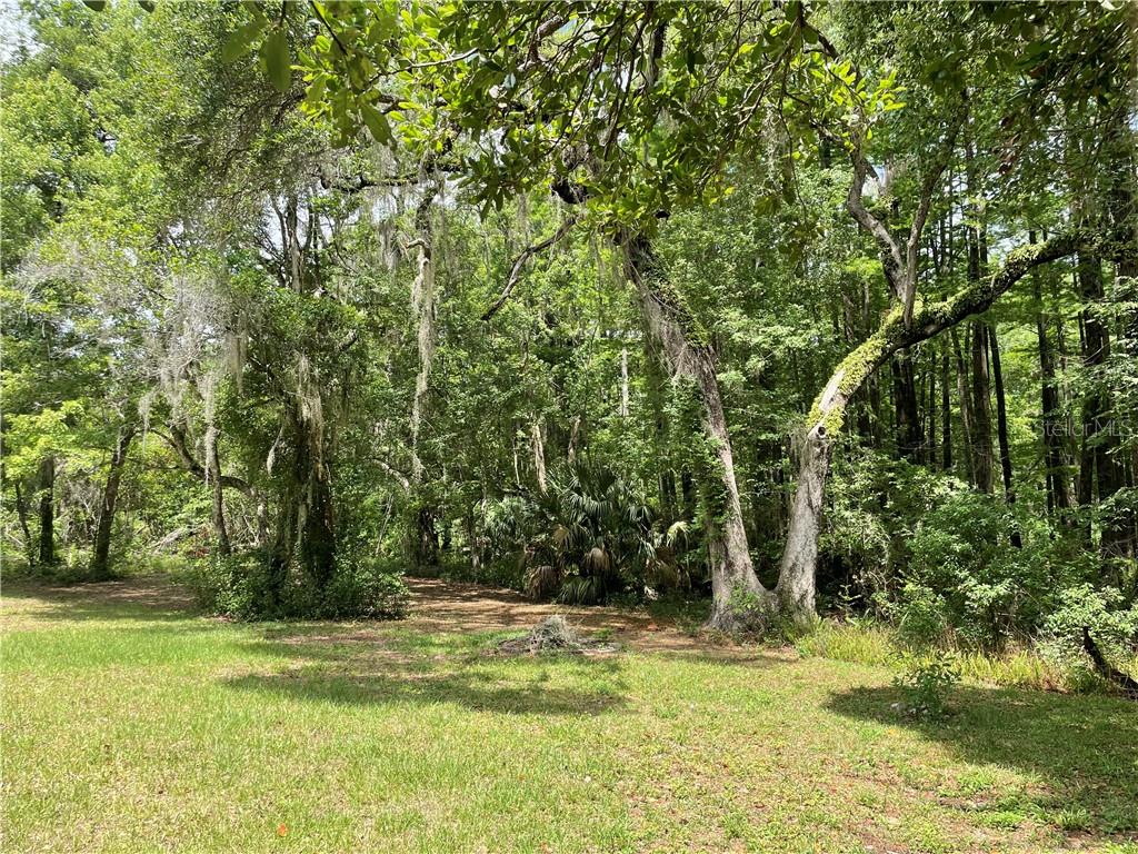 Land at 9381 S Great Oaks DR, FLORALCITY FL 34436, Floral City, photo 8 of 13