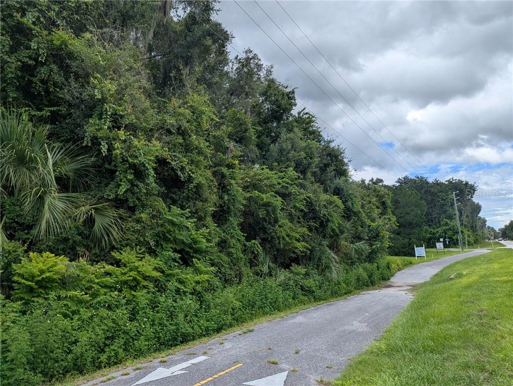 Land at 0 E C 48, BUSHNELL FL 33513, photo 4 of 26
