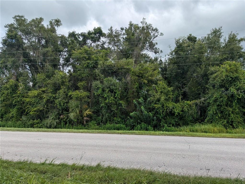 Land at 0 E C 48, BUSHNELL FL 33513, photo 5 of 26