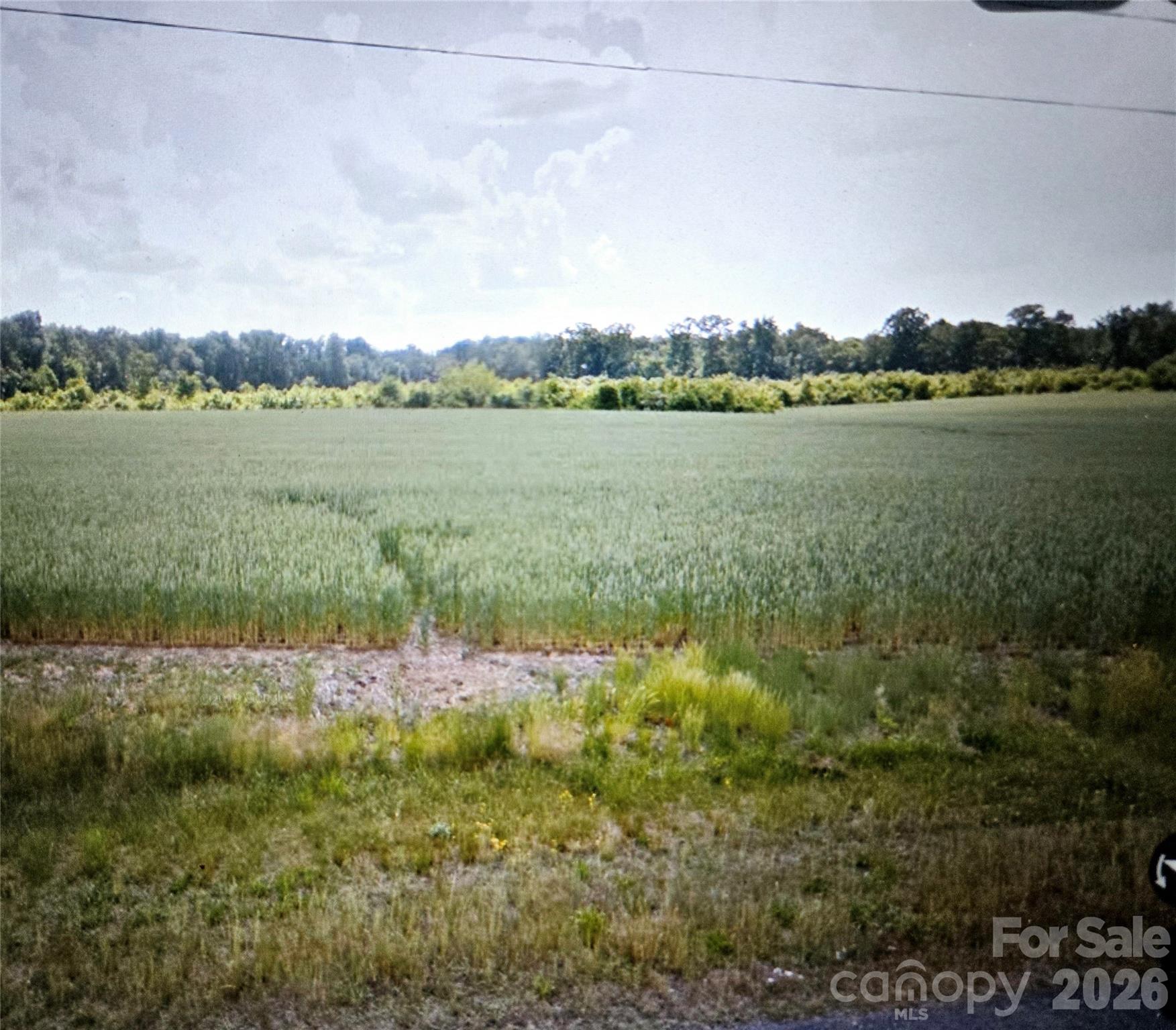 Acreage at 000 Winchester Road, Monroe, photo 6 of 12