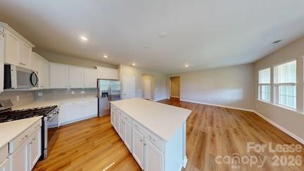 Single Family Residence at 139 Pampas Place, Statesville, photo 5 of 25