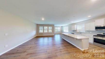 Single Family Residence at 139 Pampas Place, Statesville, photo 6 of 25