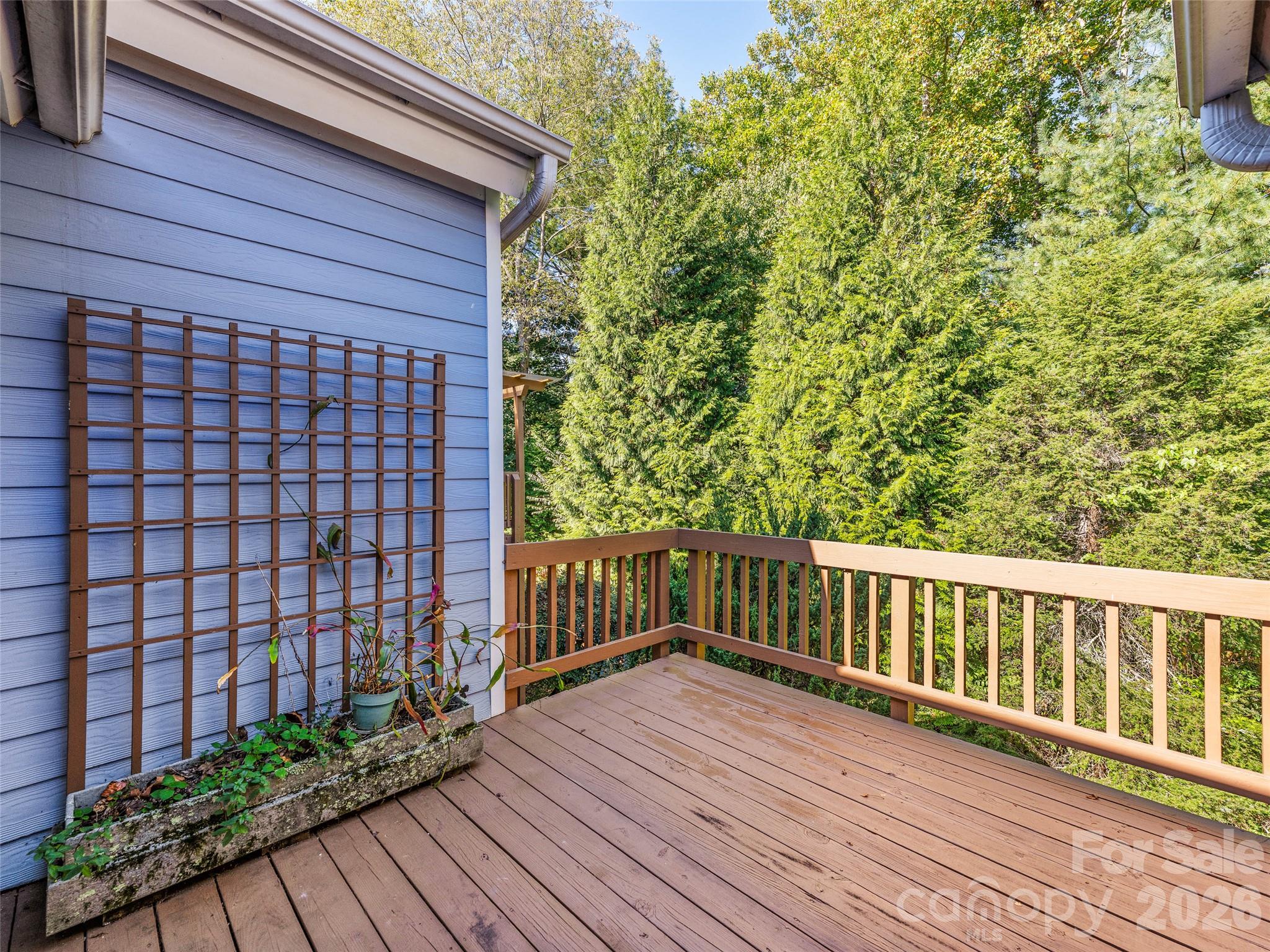 Townhouse at 43 Vermont Court, Asheville, photo 22 of 42