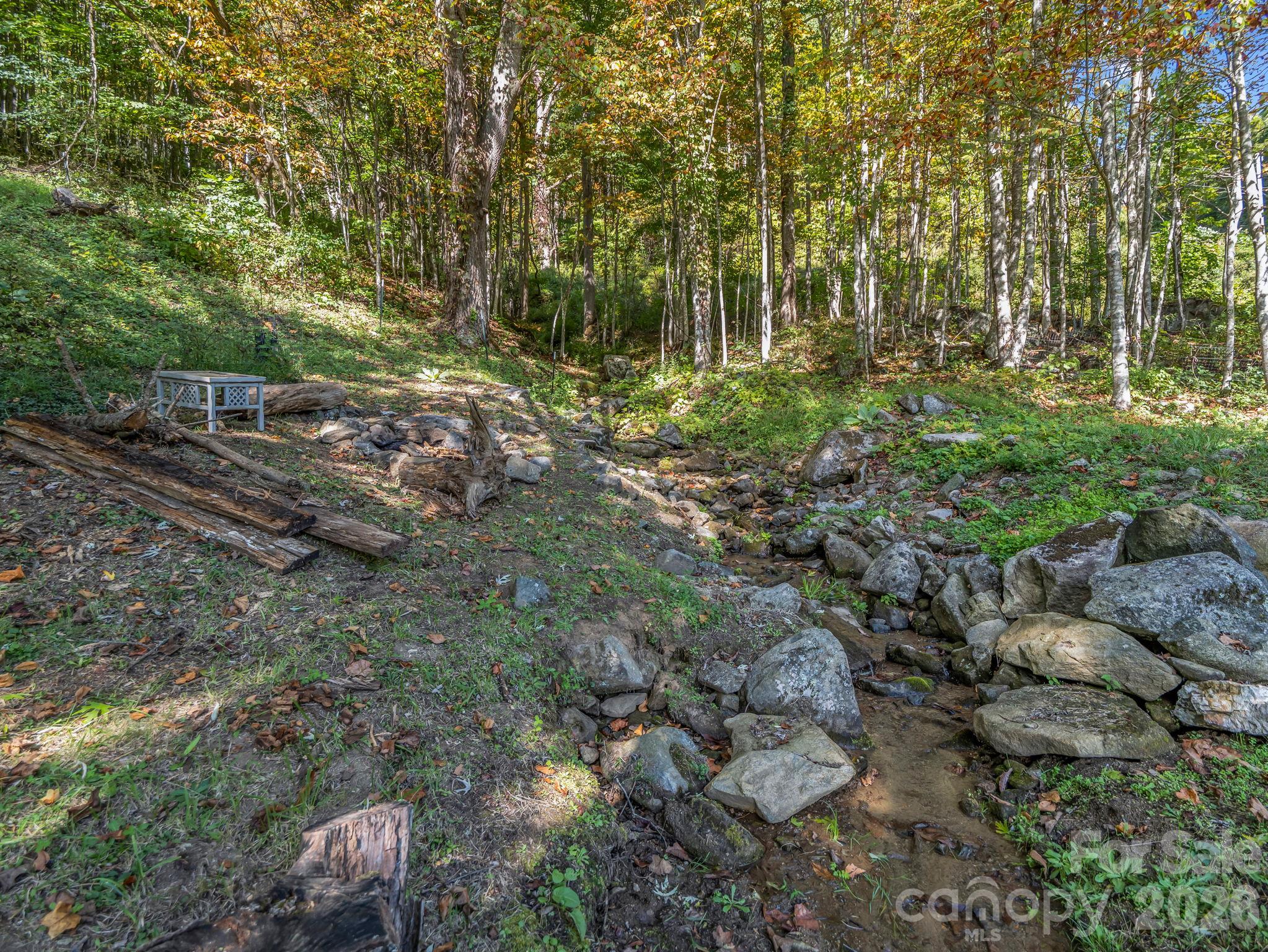 Creek right near front porch - 765 Hawk Ridge Lane, Marshall