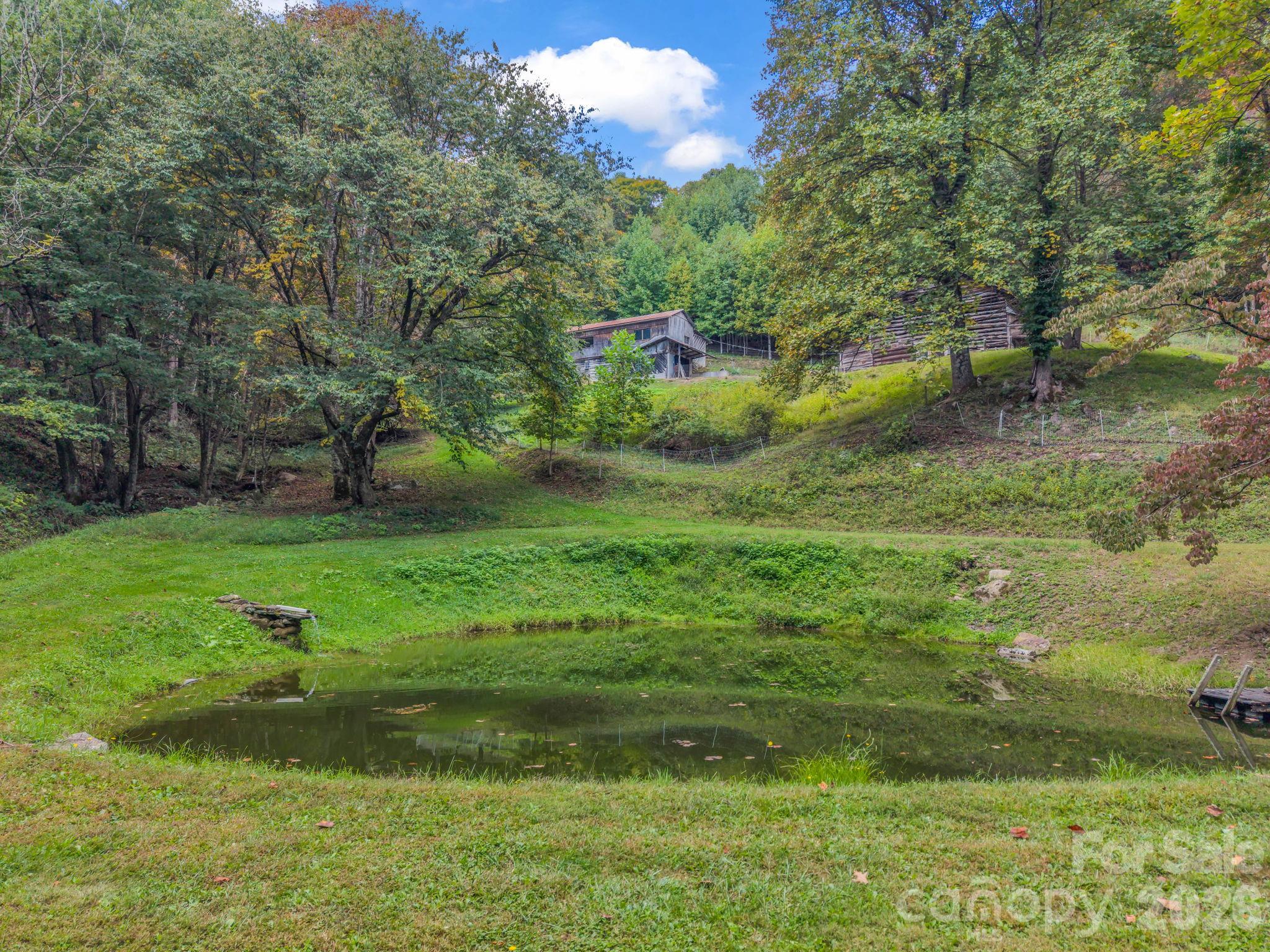 Pond below home and meadow - 765 Hawk Ridge Lane, Marshall