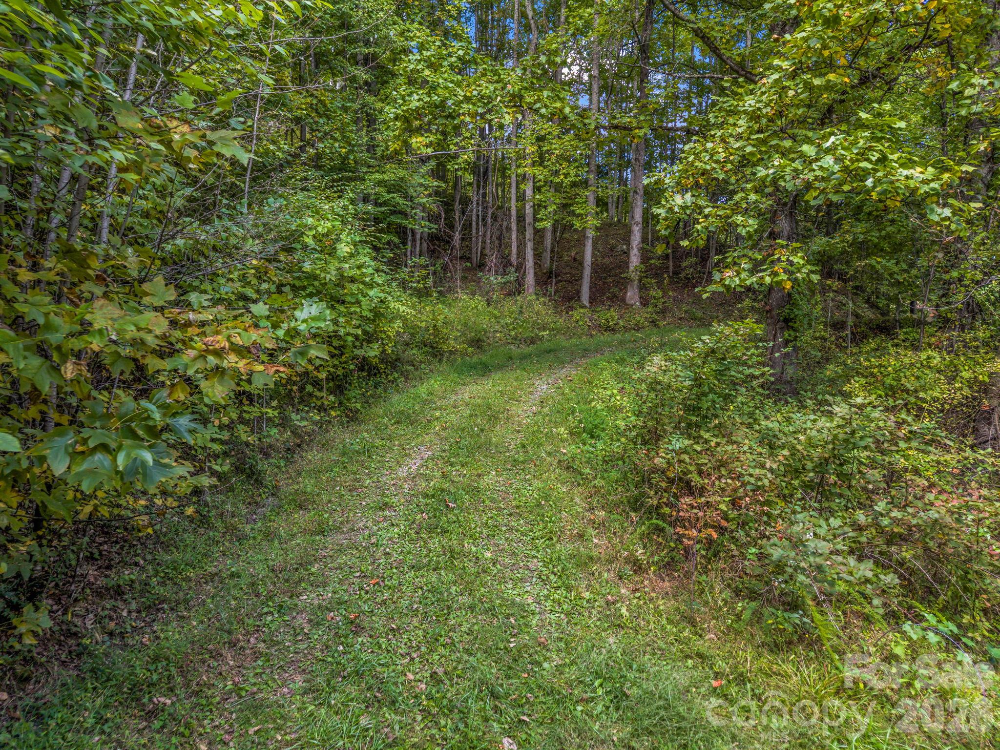 Trails throughout proeperty - 765 Hawk Ridge Lane, Marshall