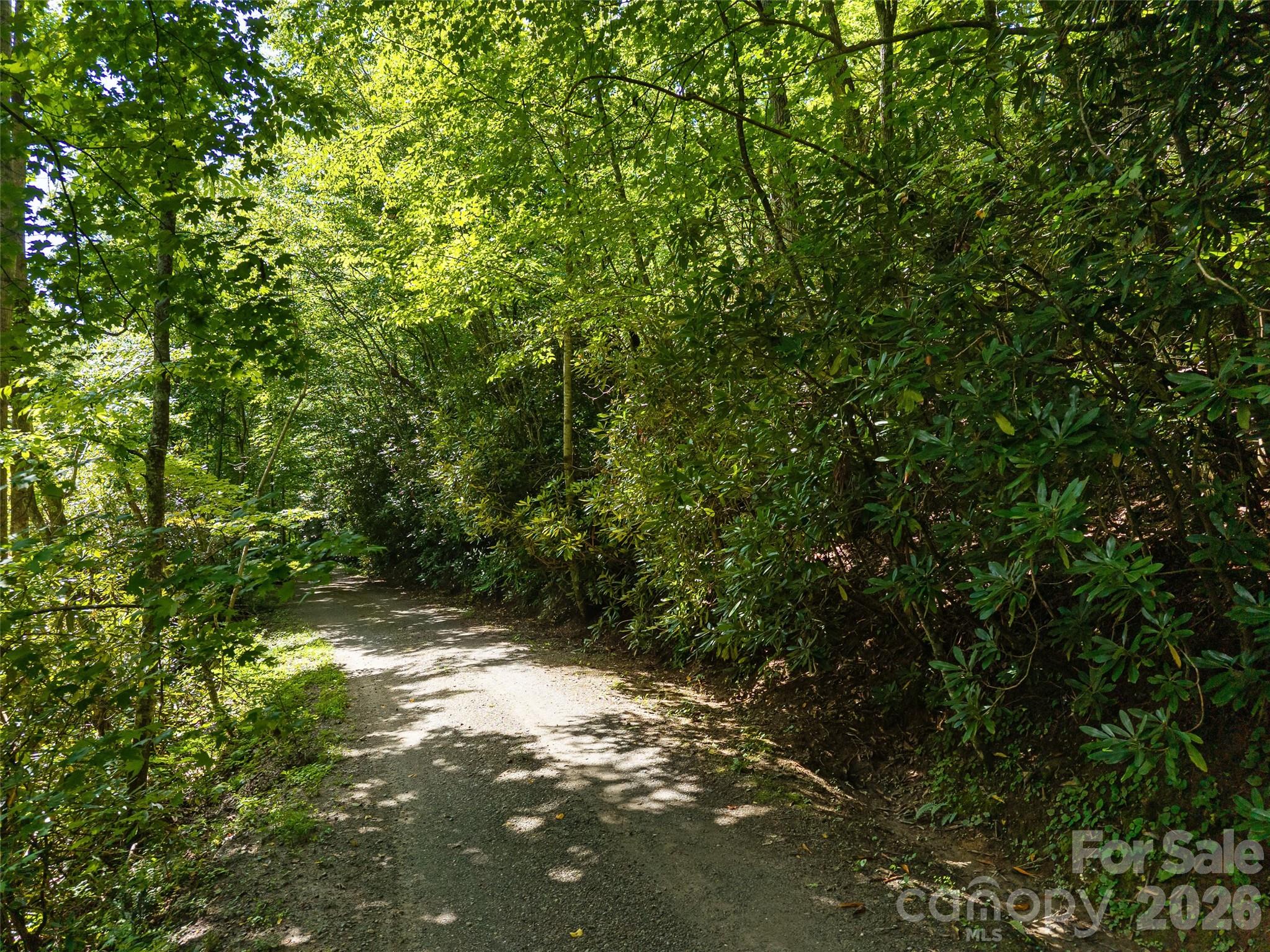 Unimproved Commercial at 23.53 Acres Ballard Creek Road, Fairview, photo 3 of 18
