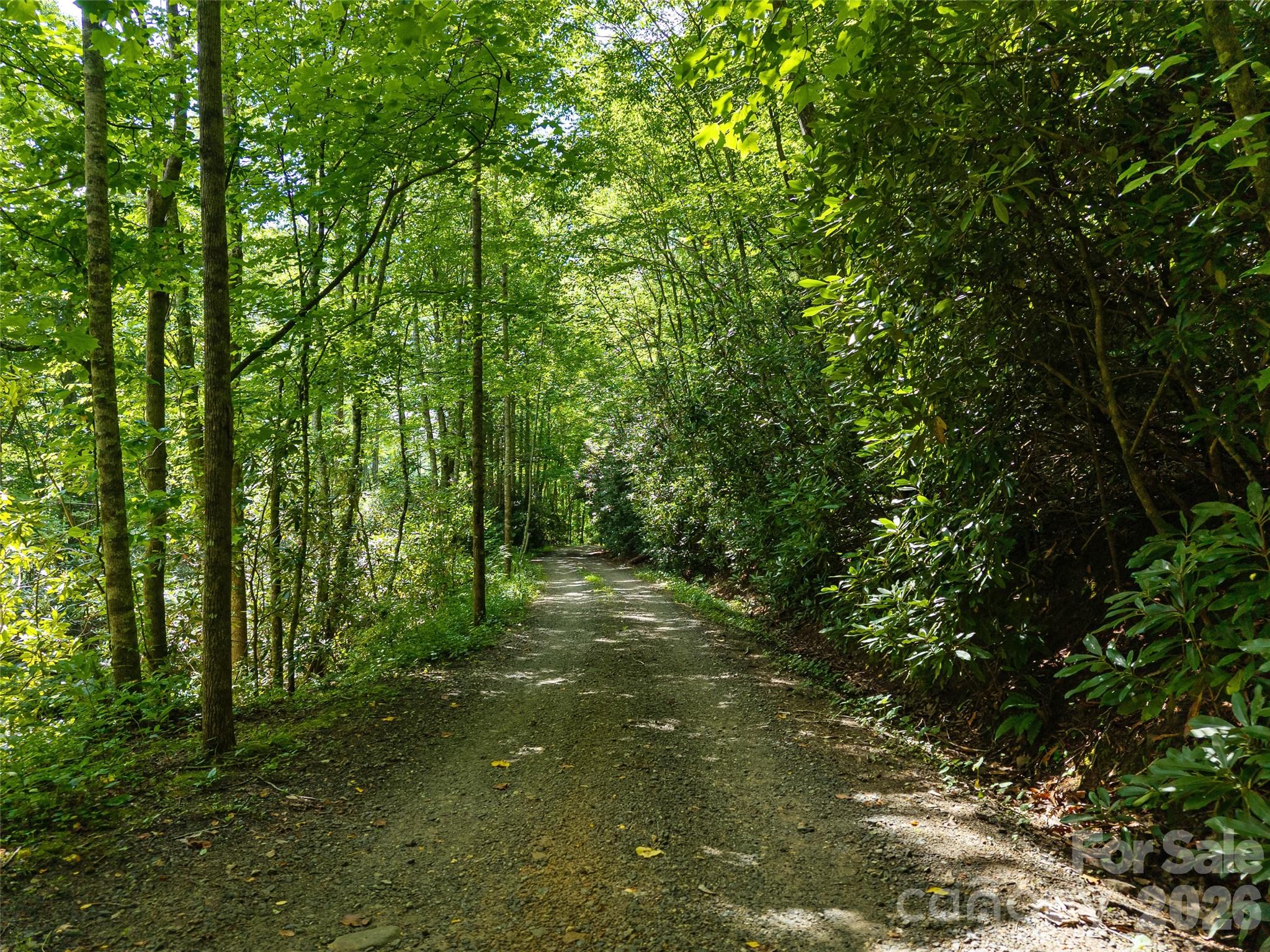 Unimproved Commercial at 23.53 Acres Ballard Creek Road, Fairview, photo 4 of 18