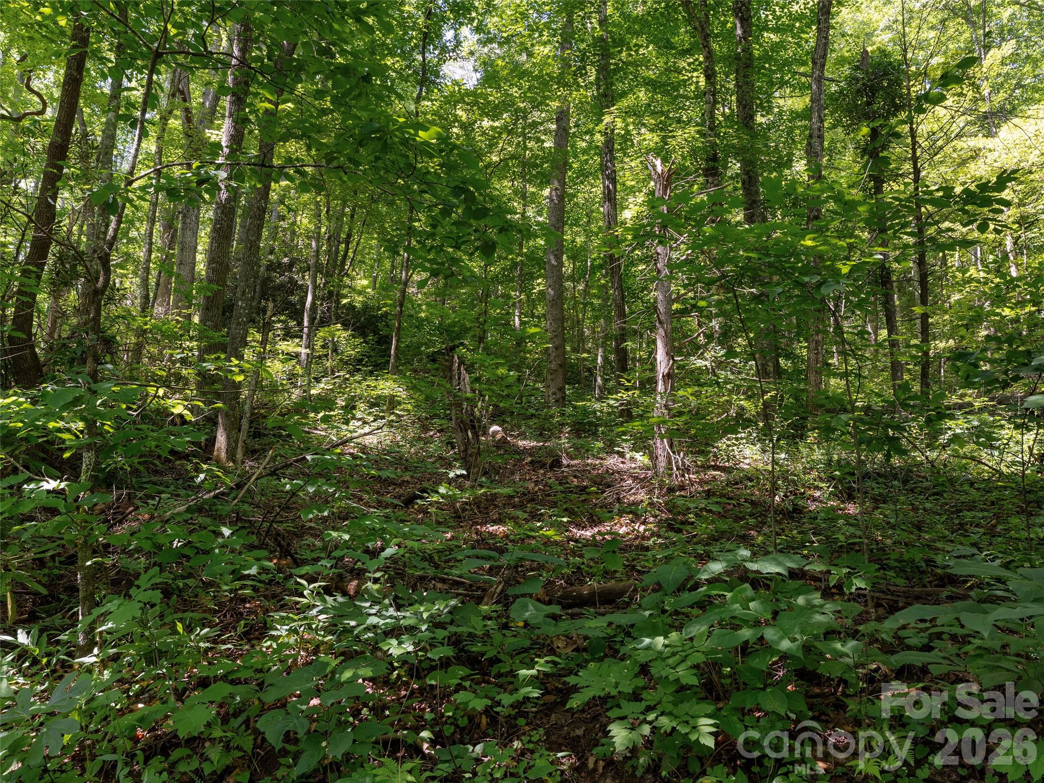 Unimproved Commercial at 23.53 Acres Ballard Creek Road, Fairview, photo 6 of 18
