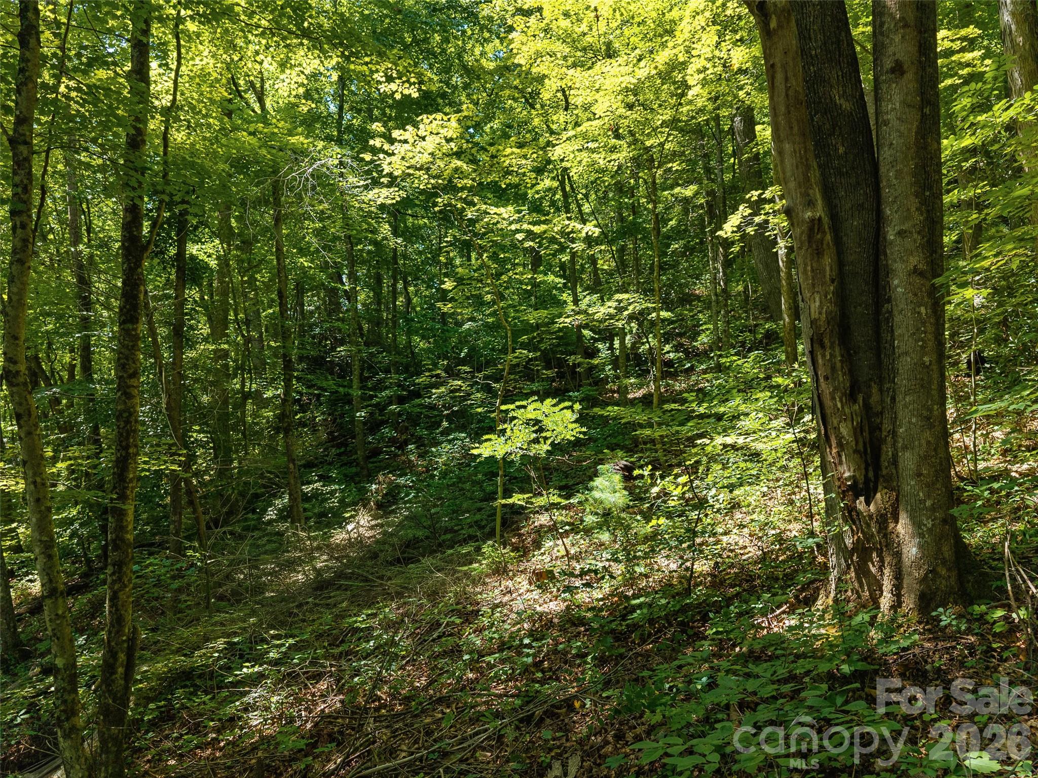 Unimproved Commercial at 23.53 Acres Ballard Creek Road, Fairview, photo 8 of 18