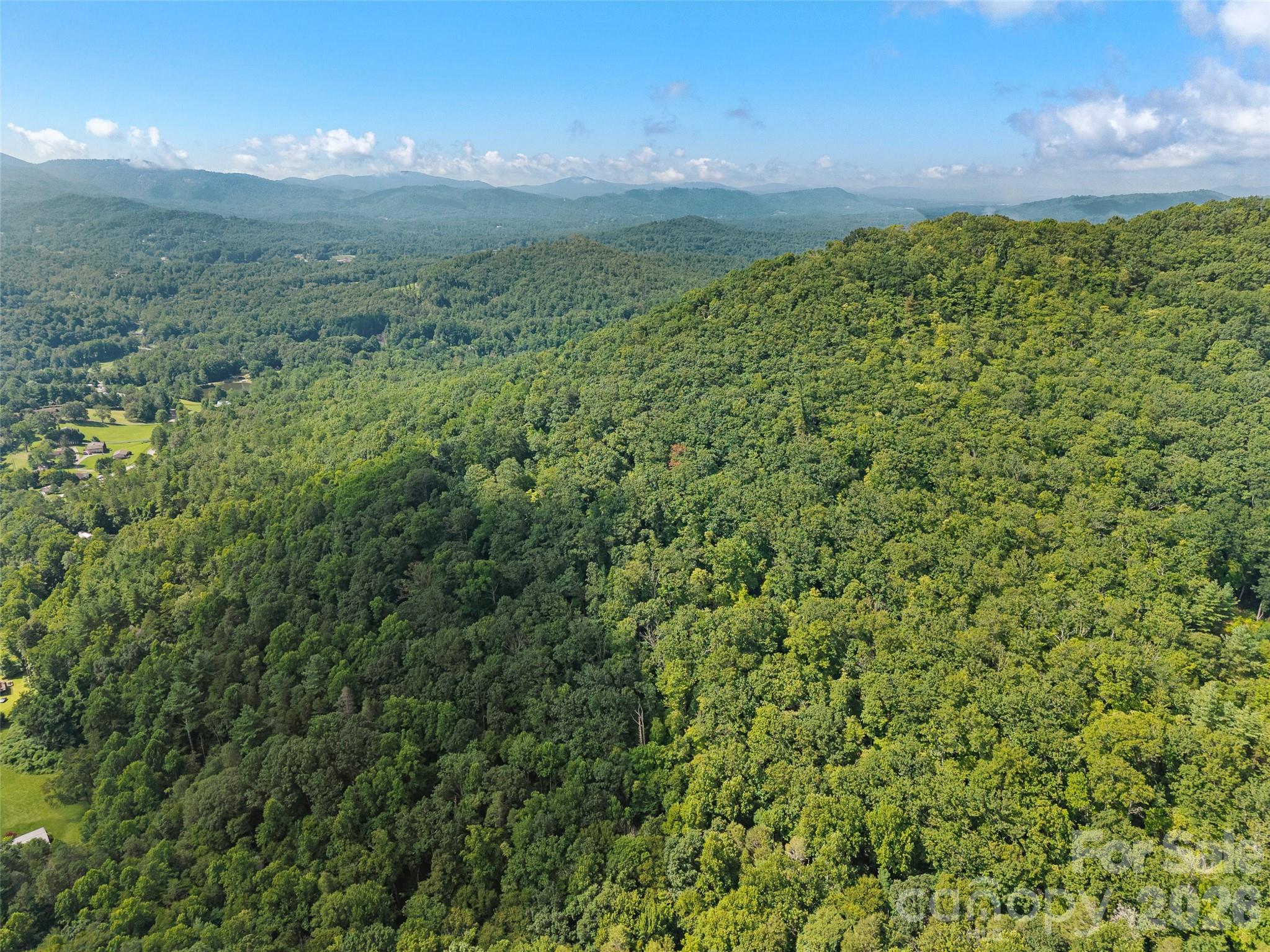 Unimproved Commercial at 23.53 Acres Ballard Creek Road, Fairview, photo 9 of 18