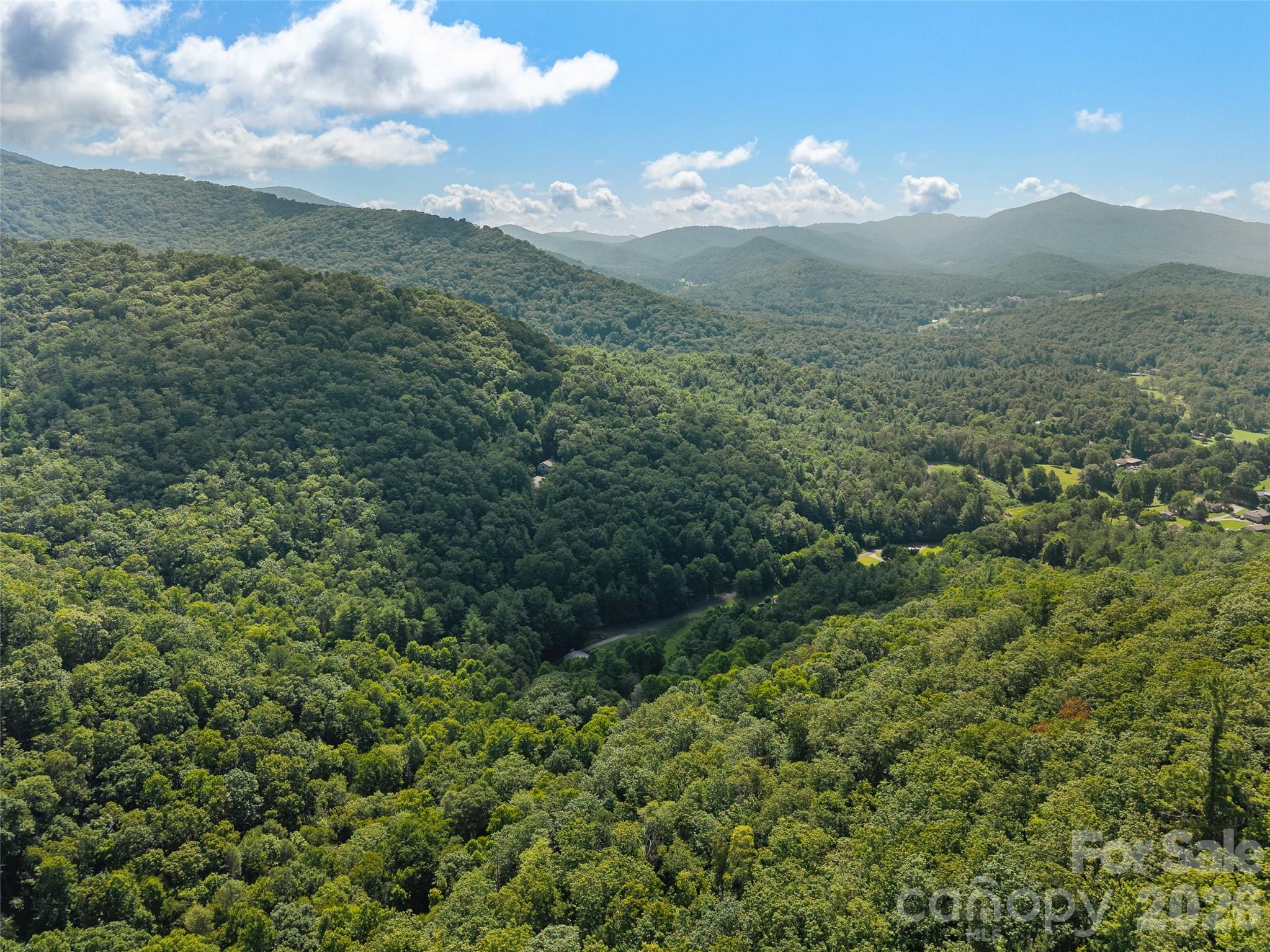 Unimproved Commercial at 23.53 Acres Ballard Creek Road, Fairview, photo 11 of 18