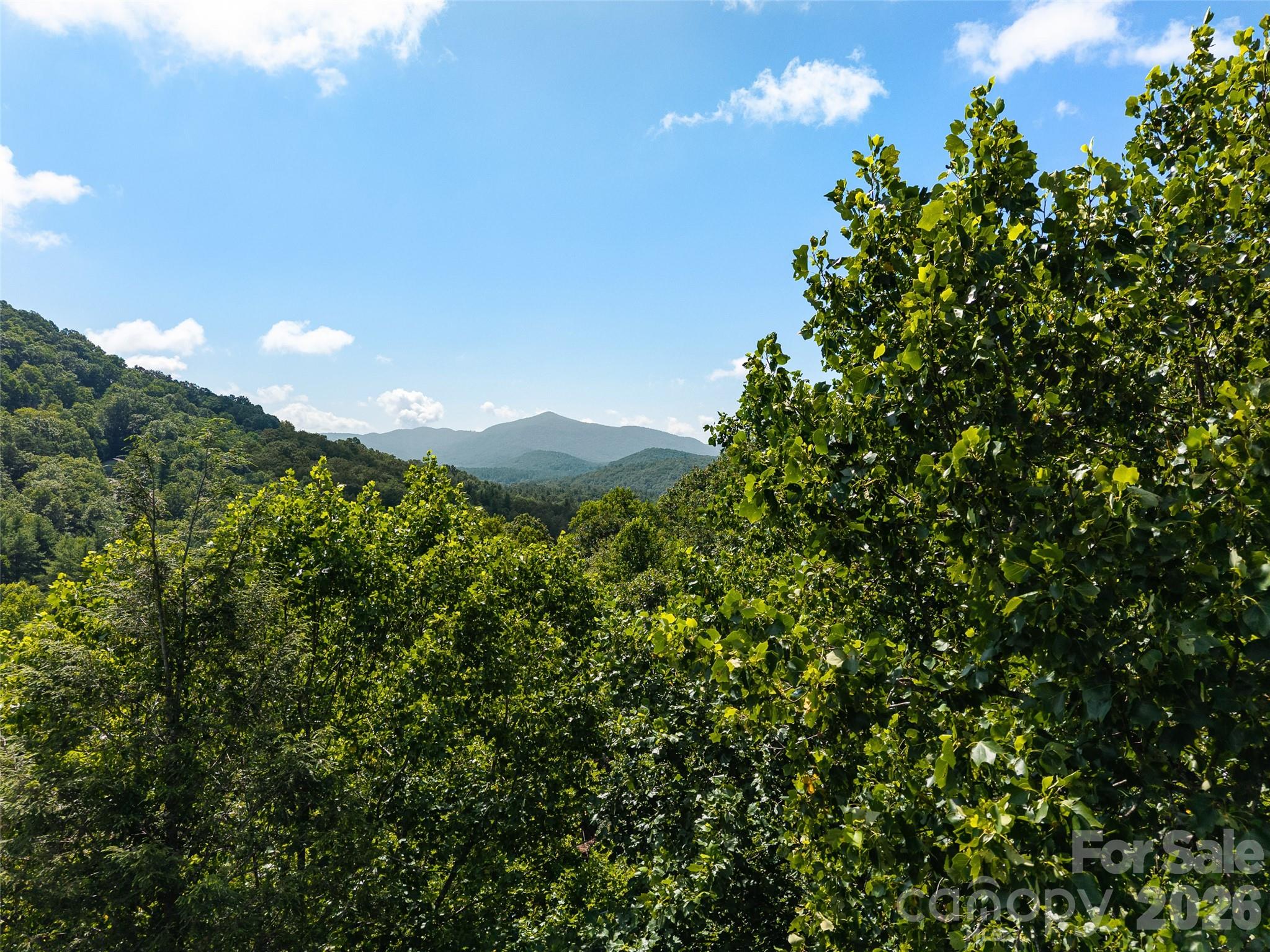 Unimproved Commercial at 23.53 Acres Ballard Creek Road, Fairview, photo 13 of 18