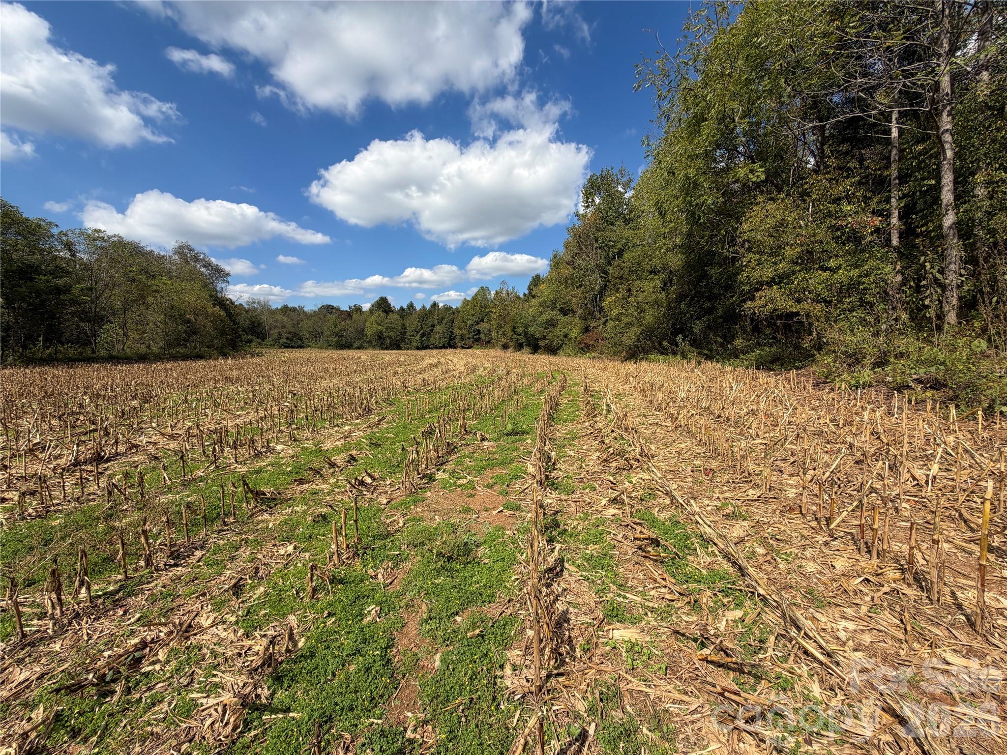 Acreage at 00 Jim Elliott Road, Shelby, photo 2 of 48
