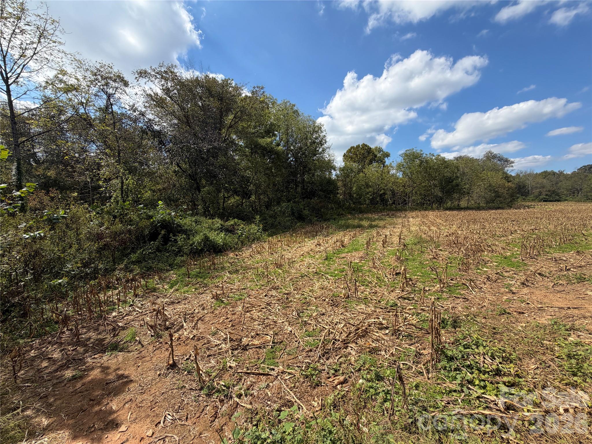 Acreage at 00 Jim Elliott Road, Shelby, photo 3 of 48