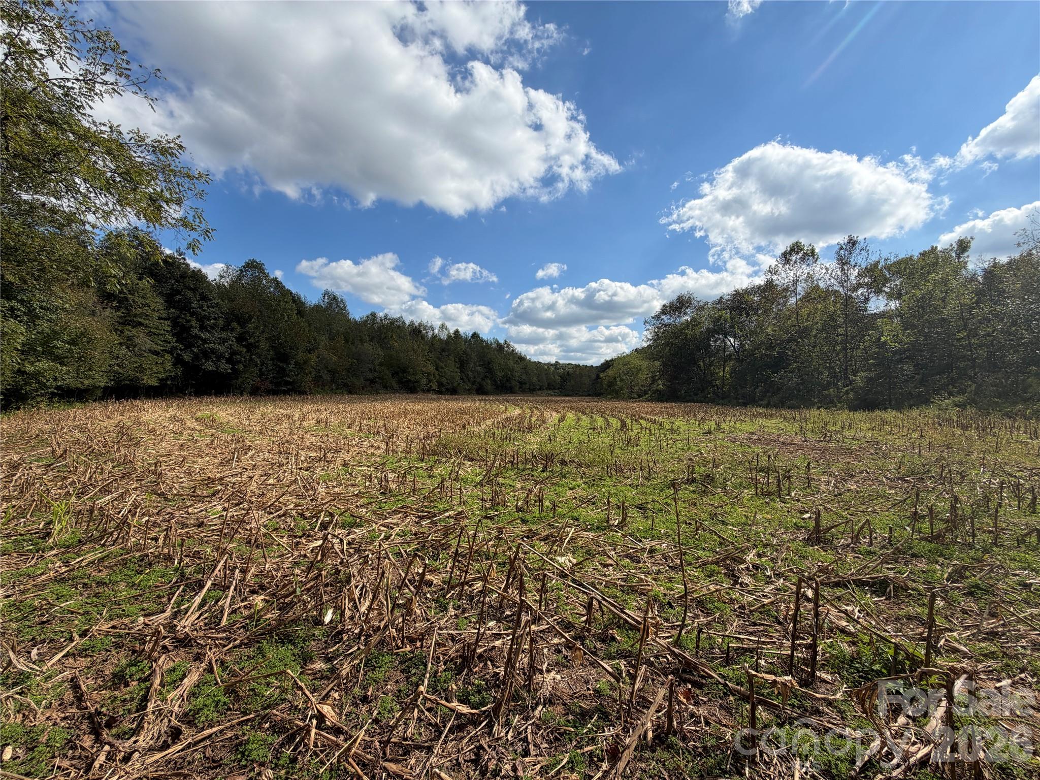 Acreage at 00 Jim Elliott Road, Shelby, photo 4 of 48
