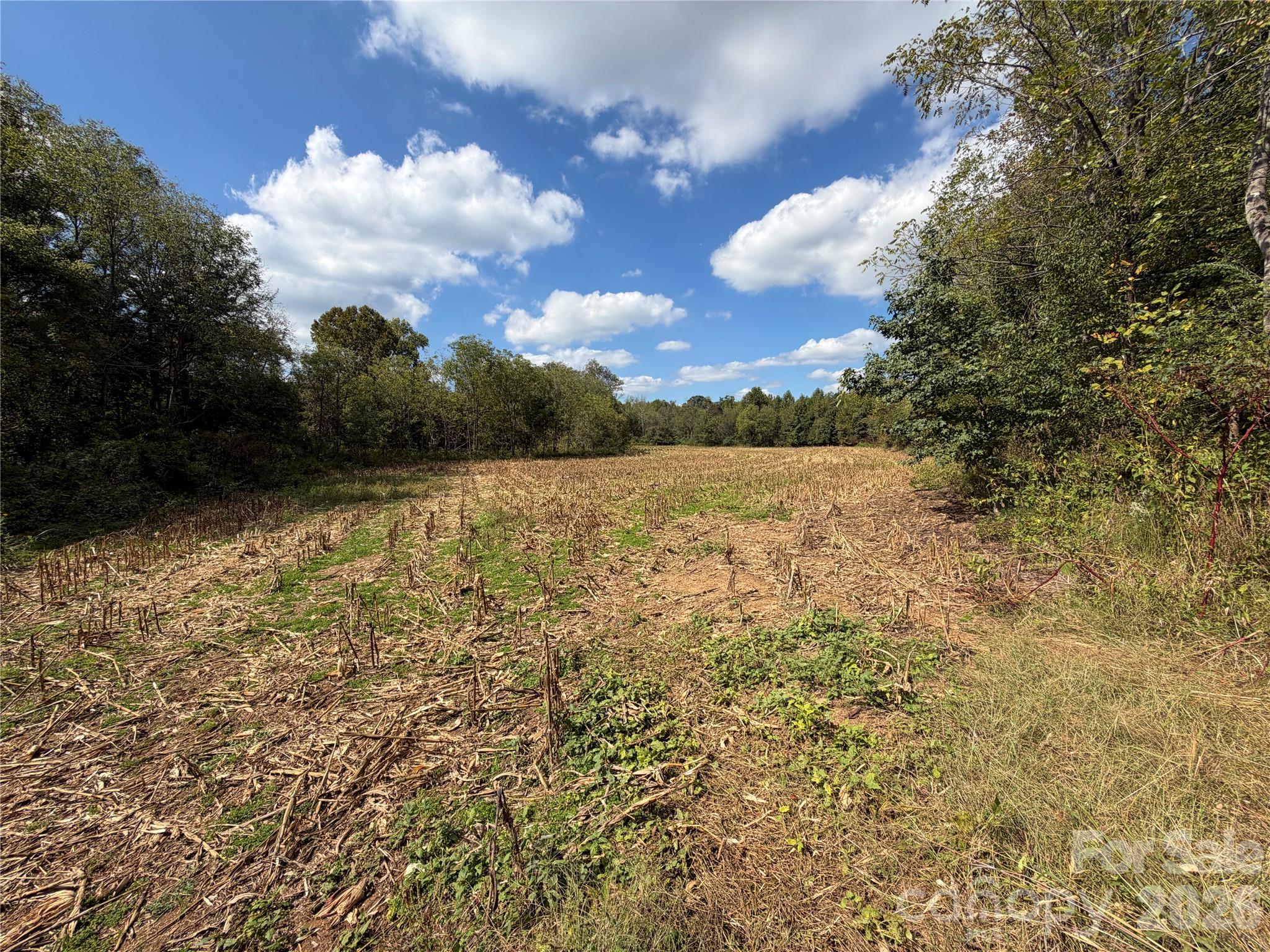 Acreage at 00 Jim Elliott Road, Shelby, photo 7 of 48