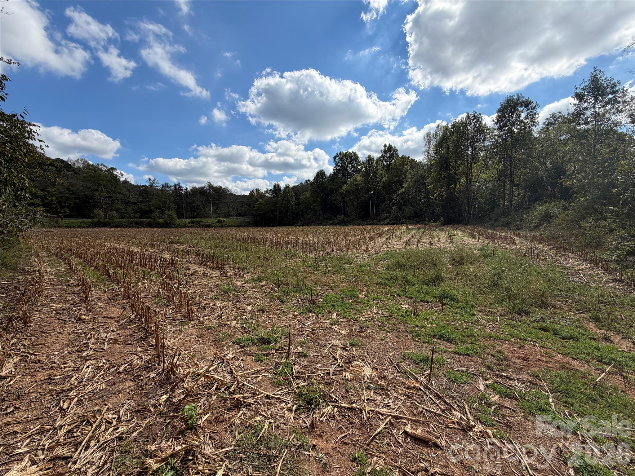 Acreage at 00 Jim Elliott Road, Shelby, photo 8 of 48