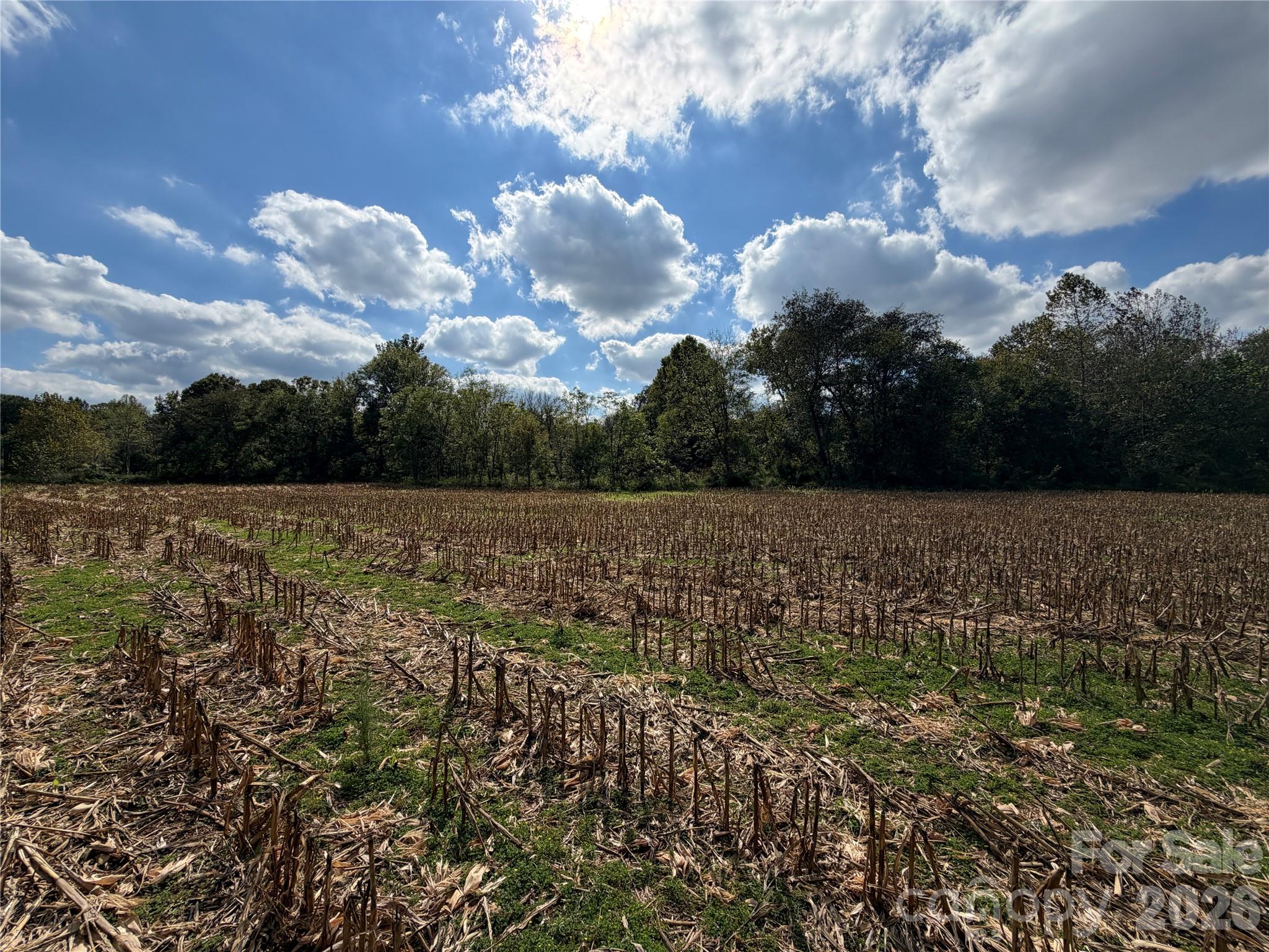 Acreage at 00 Jim Elliott Road, Shelby, photo 13 of 48