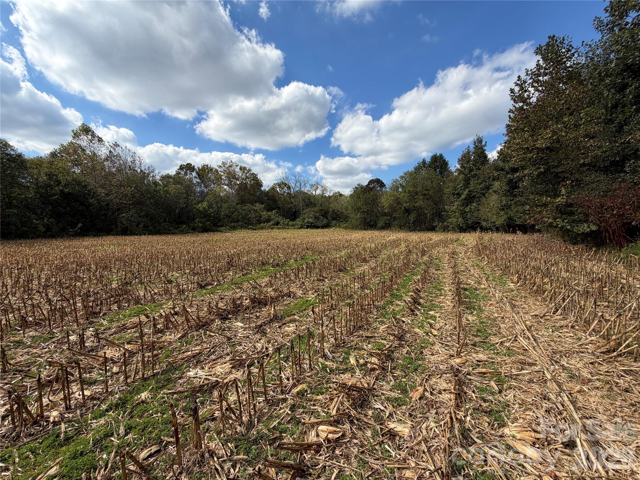 Acreage at 00 Jim Elliott Road, Shelby, photo 14 of 48