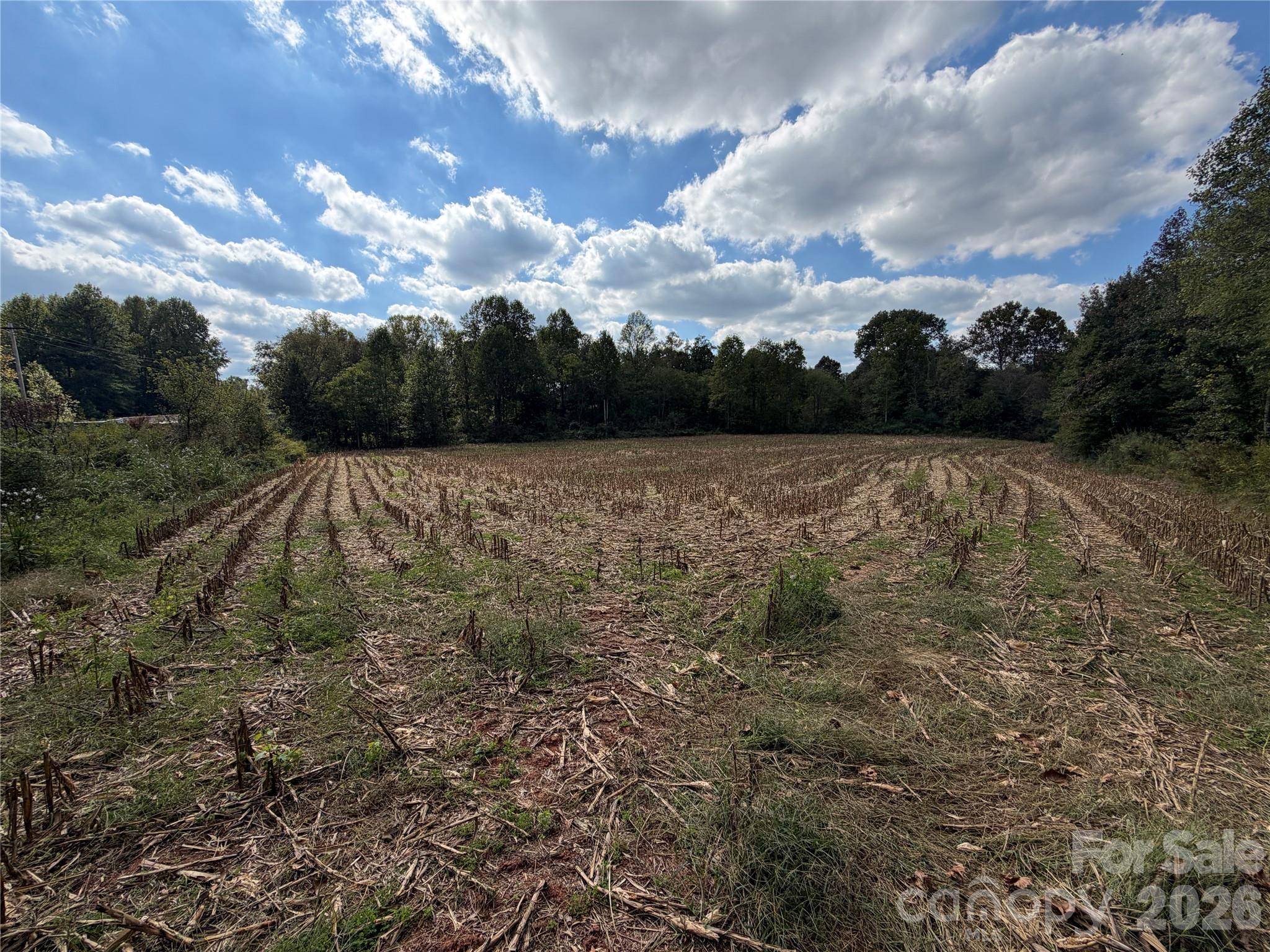 Acreage at 00 Jim Elliott Road, Shelby, photo 15 of 48