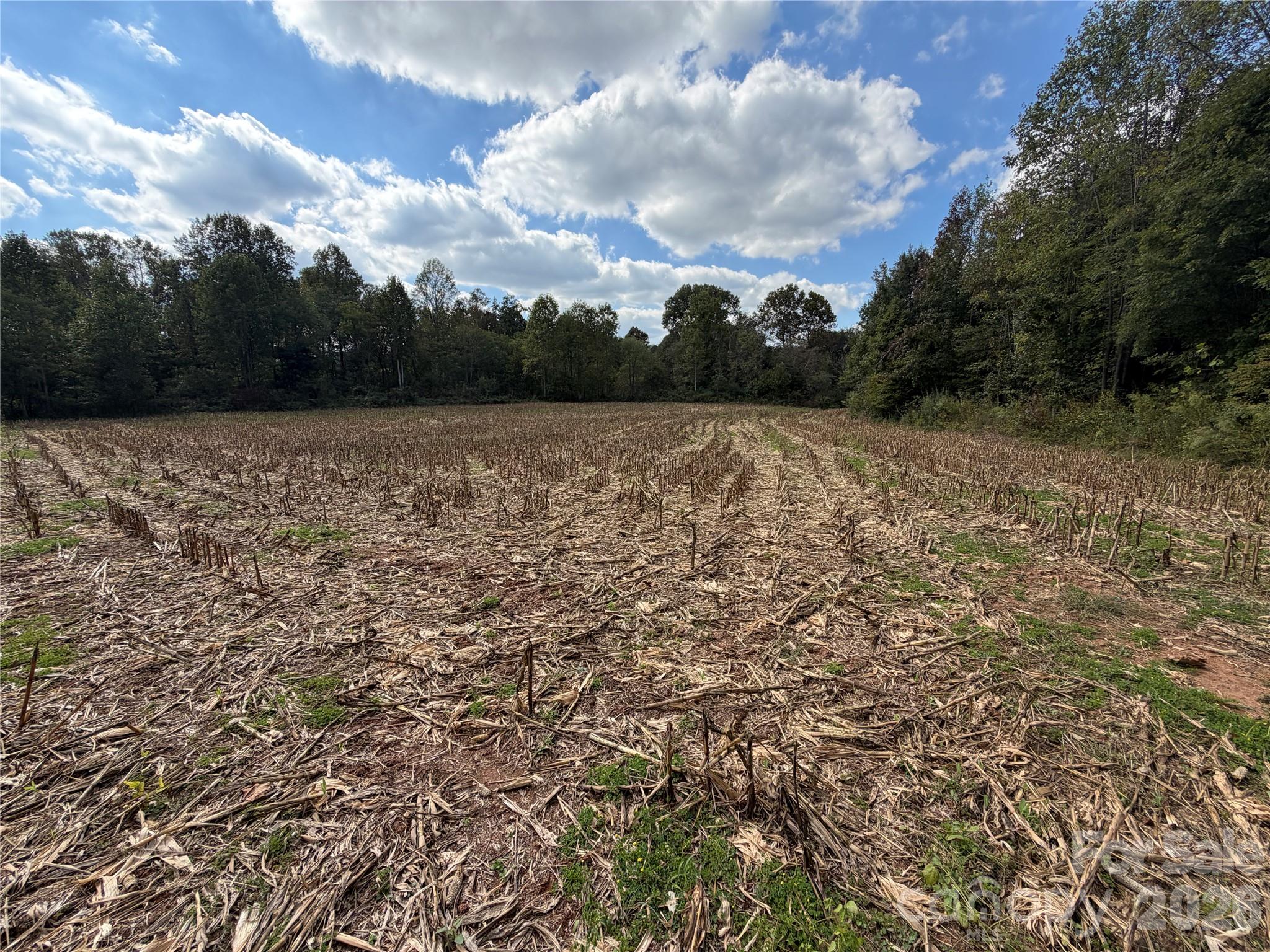 Acreage at 00 Jim Elliott Road, Shelby, photo 16 of 48