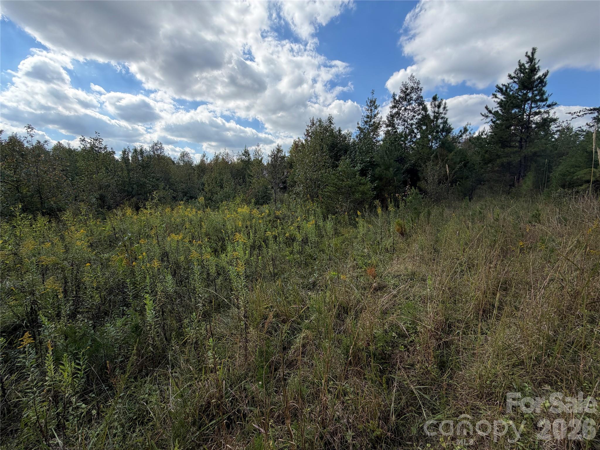 Acreage at 00 Jim Elliott Road, Shelby, photo 17 of 48