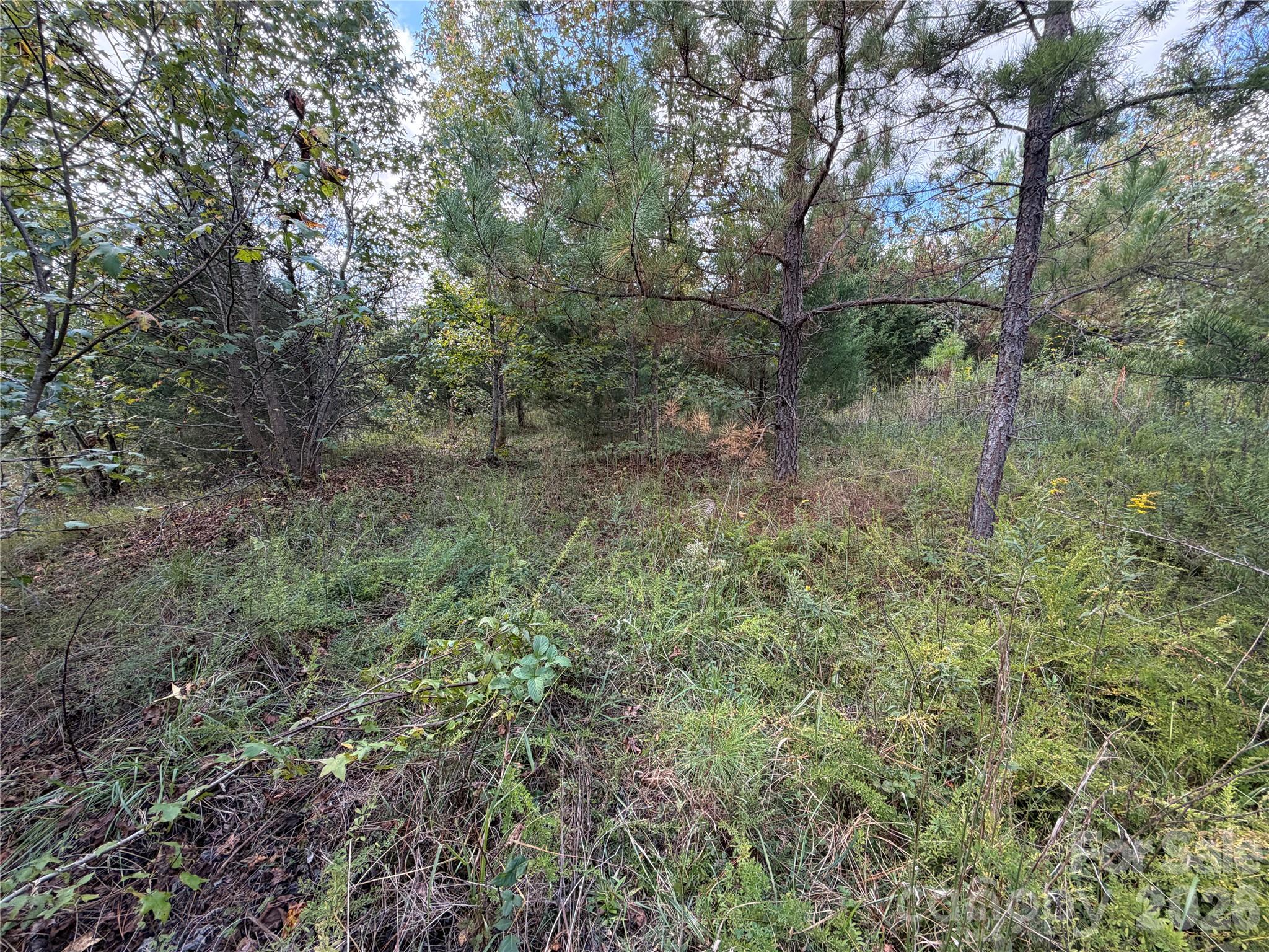 Acreage at 00 Jim Elliott Road, Shelby, photo 19 of 48