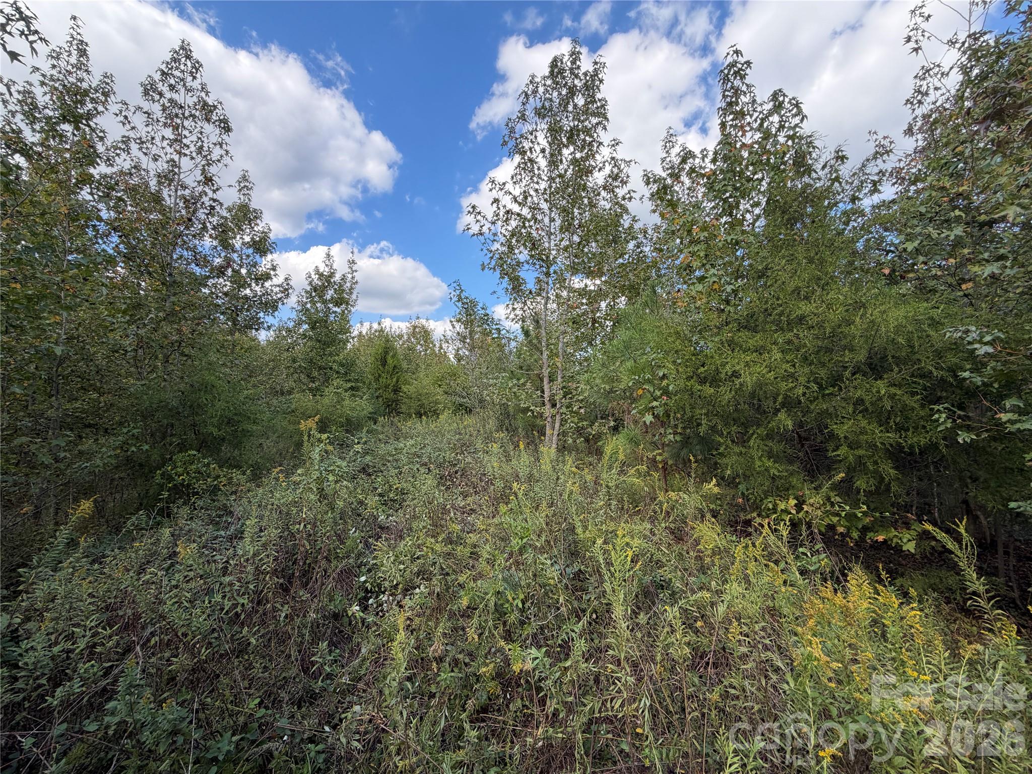 Acreage at 00 Jim Elliott Road, Shelby, photo 20 of 48