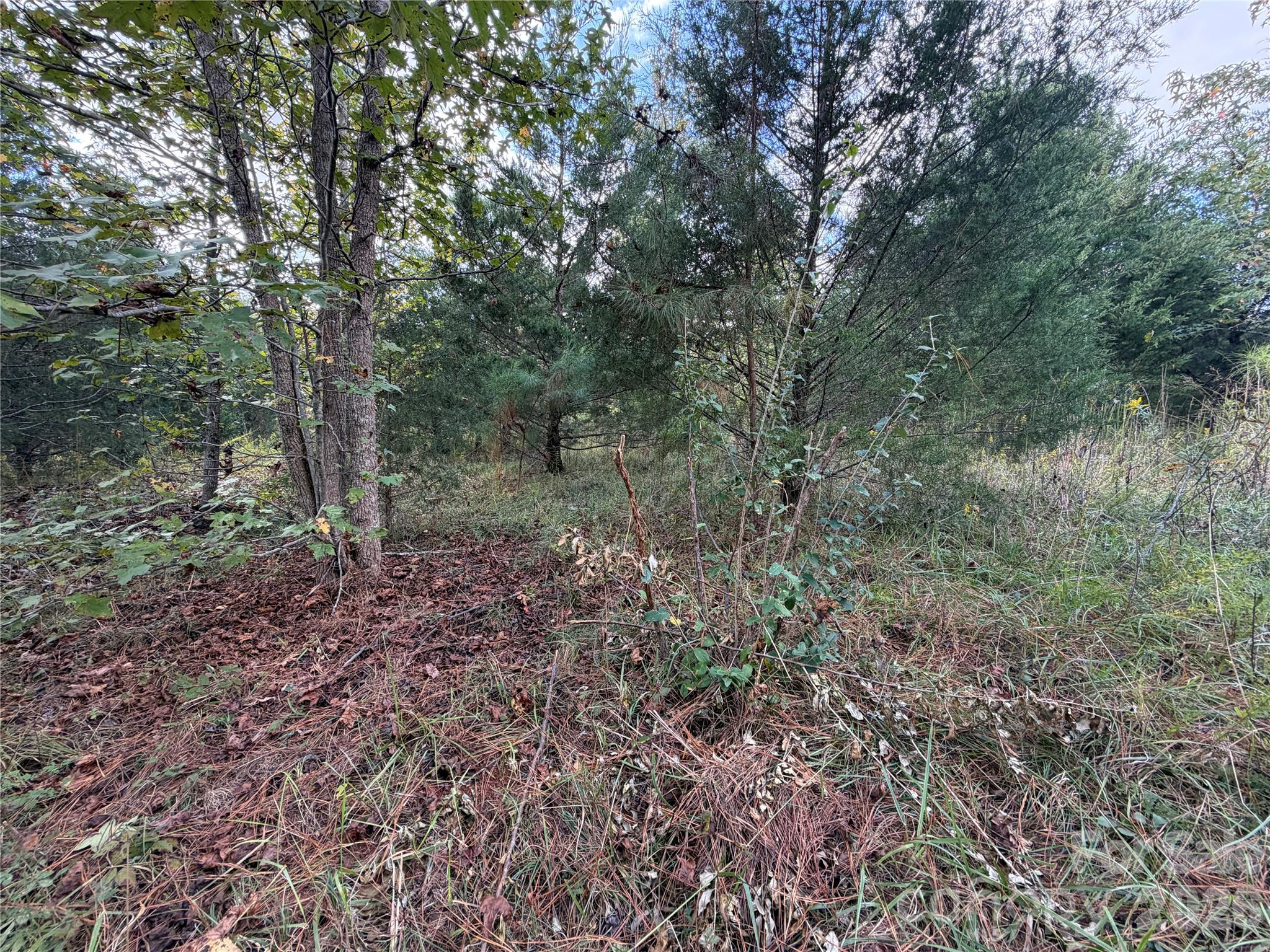 Acreage at 00 Jim Elliott Road, Shelby, photo 22 of 48