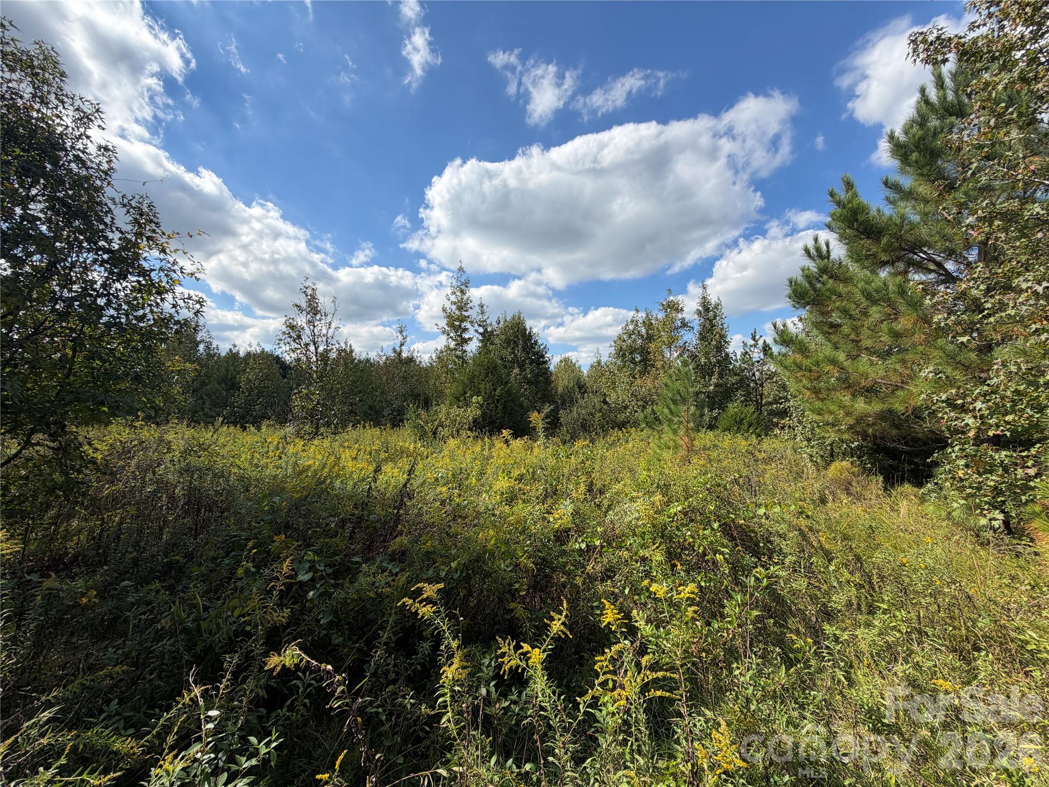 Acreage at 00 Jim Elliott Road, Shelby, photo 24 of 48