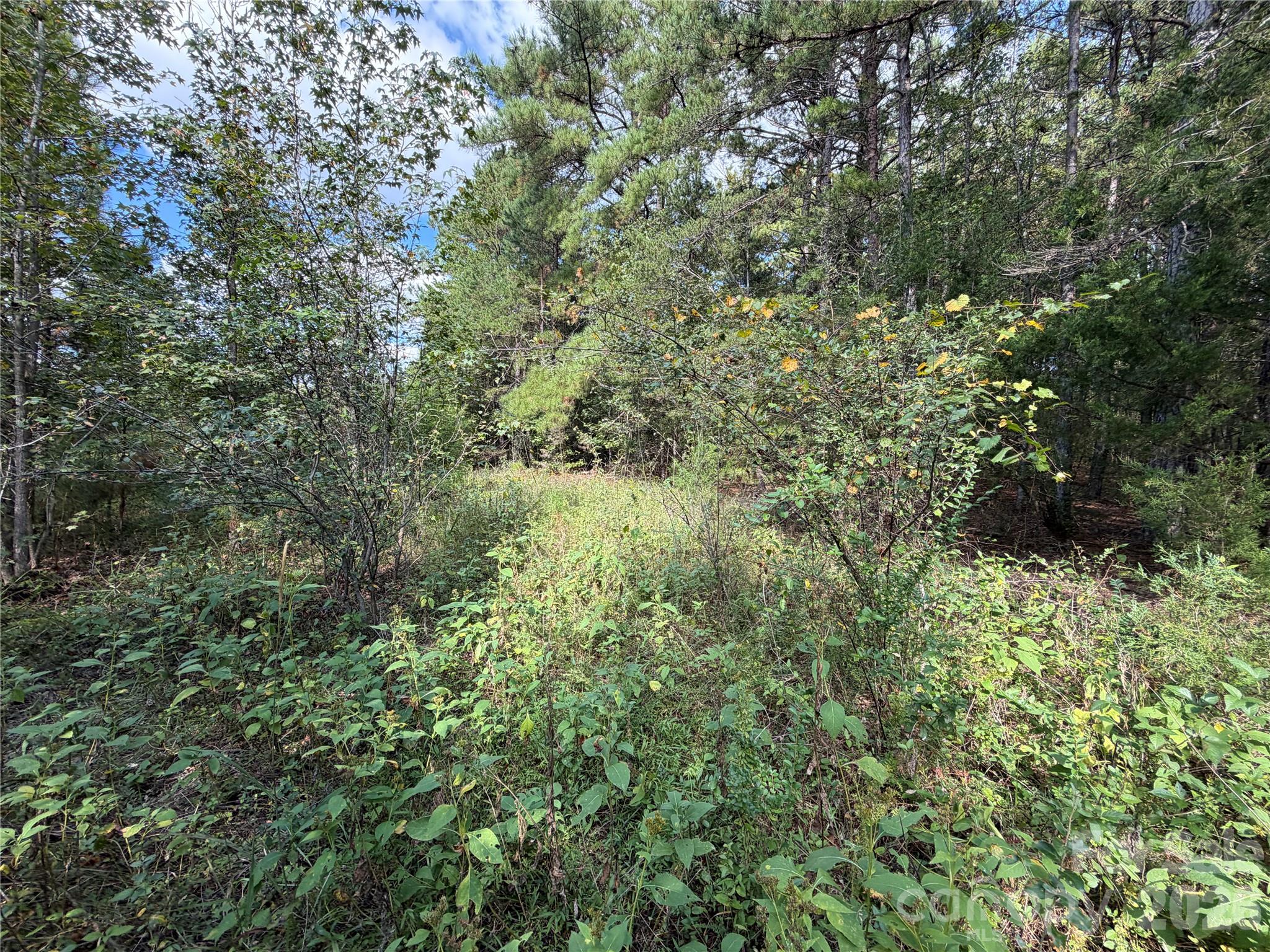Acreage at 00 Jim Elliott Road, Shelby, photo 25 of 48