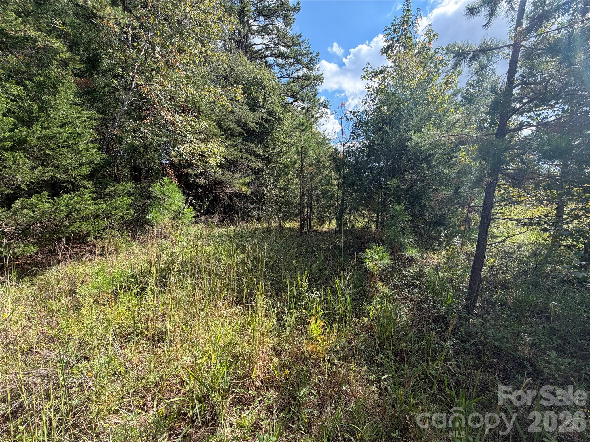 Acreage at 00 Jim Elliott Road, Shelby, photo 27 of 48